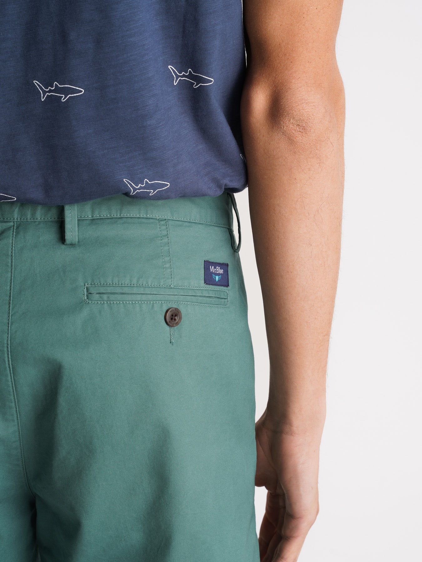 Mr. Blue Green Slim Fit Shorts