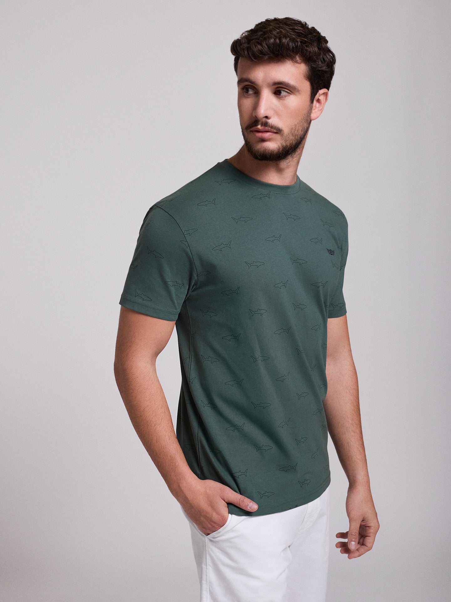 GREEN COTTON T-SHIRT SHORT SLEEVE REGULAR FIT MR. BLUE