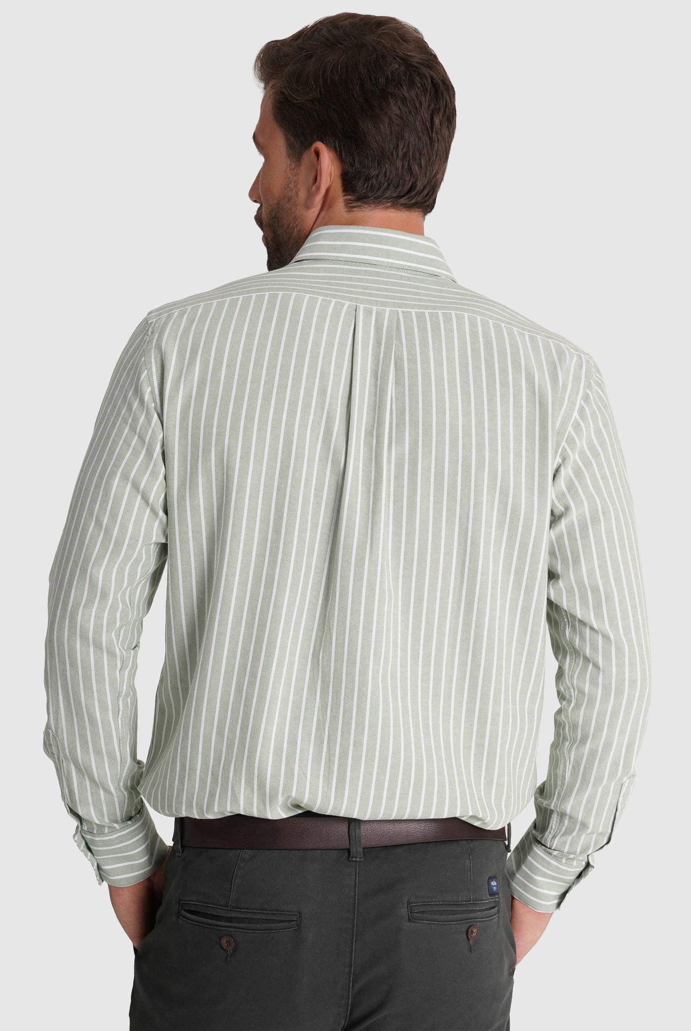 Camisa Algodão Verde Manga Comprida Regular Fit Mr. Blue