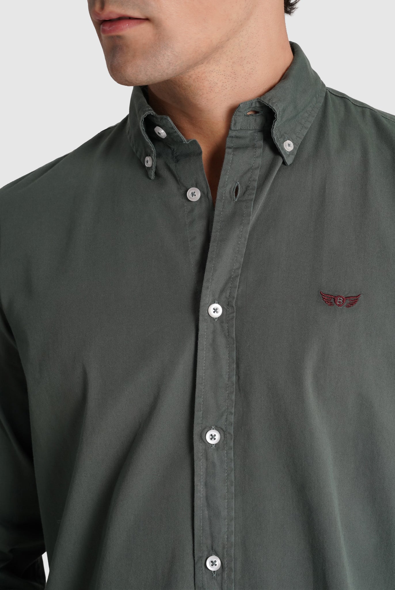 Camisa Algodão Verde Manga Comprida Regular Fit Mr. Blue