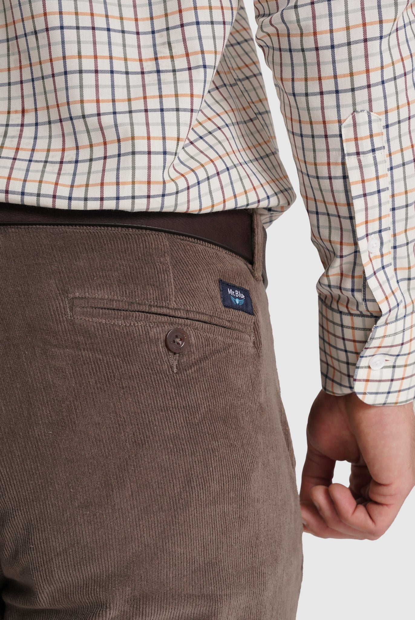 Calça Algodão Castanhas Regular Fit Mr. Blue