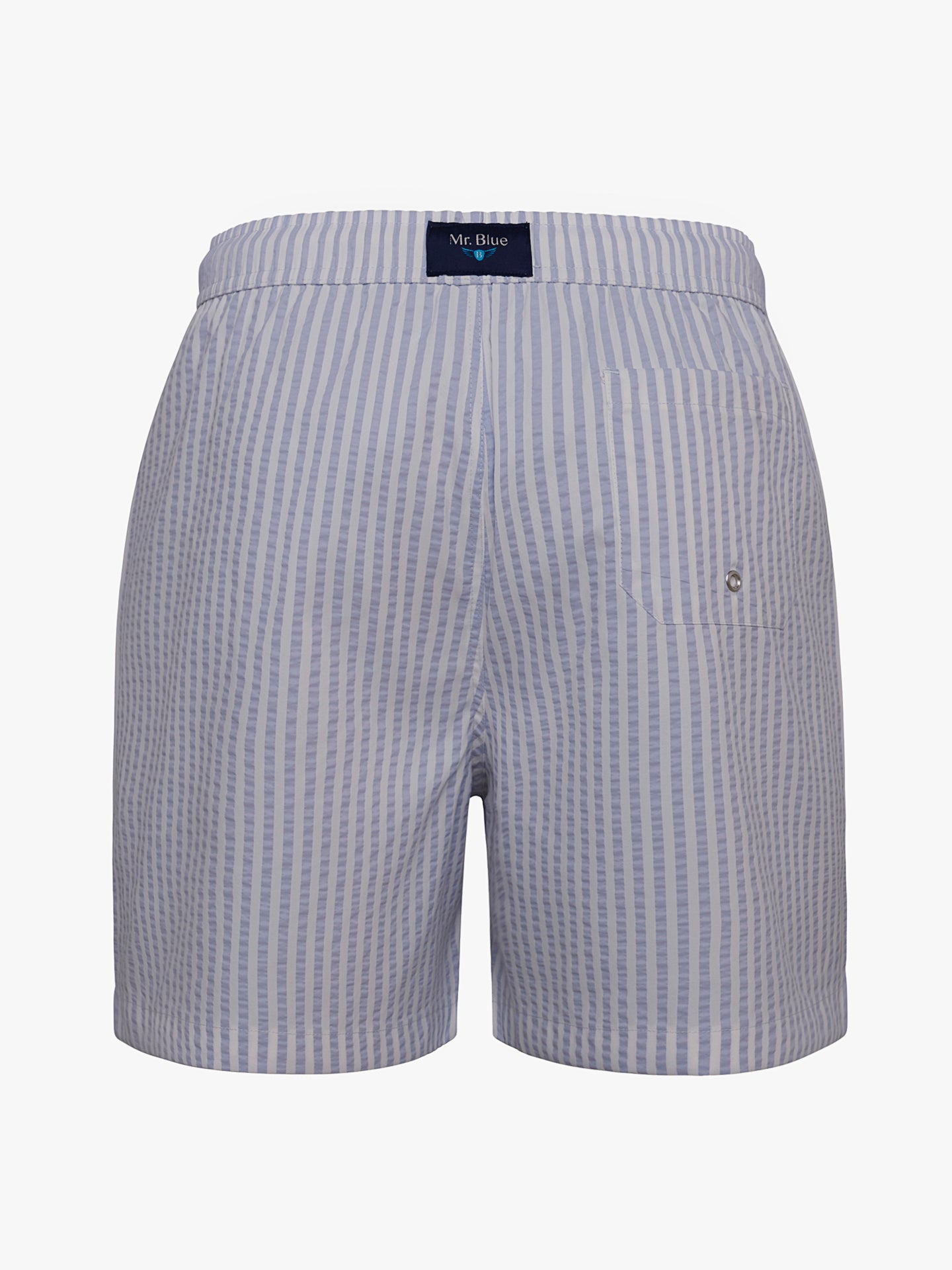 Mr. Blue Classic Swimsuit