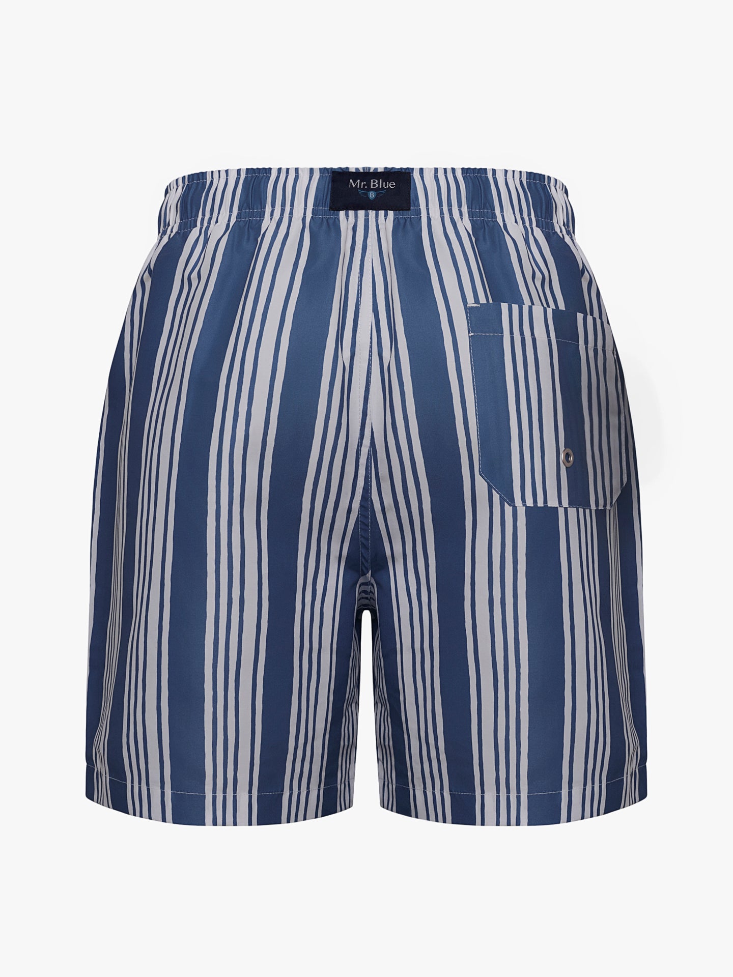 Mr. Blue Classic Swimsuit