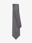 GRAY TIE REGULAR FIT MR. BLUE