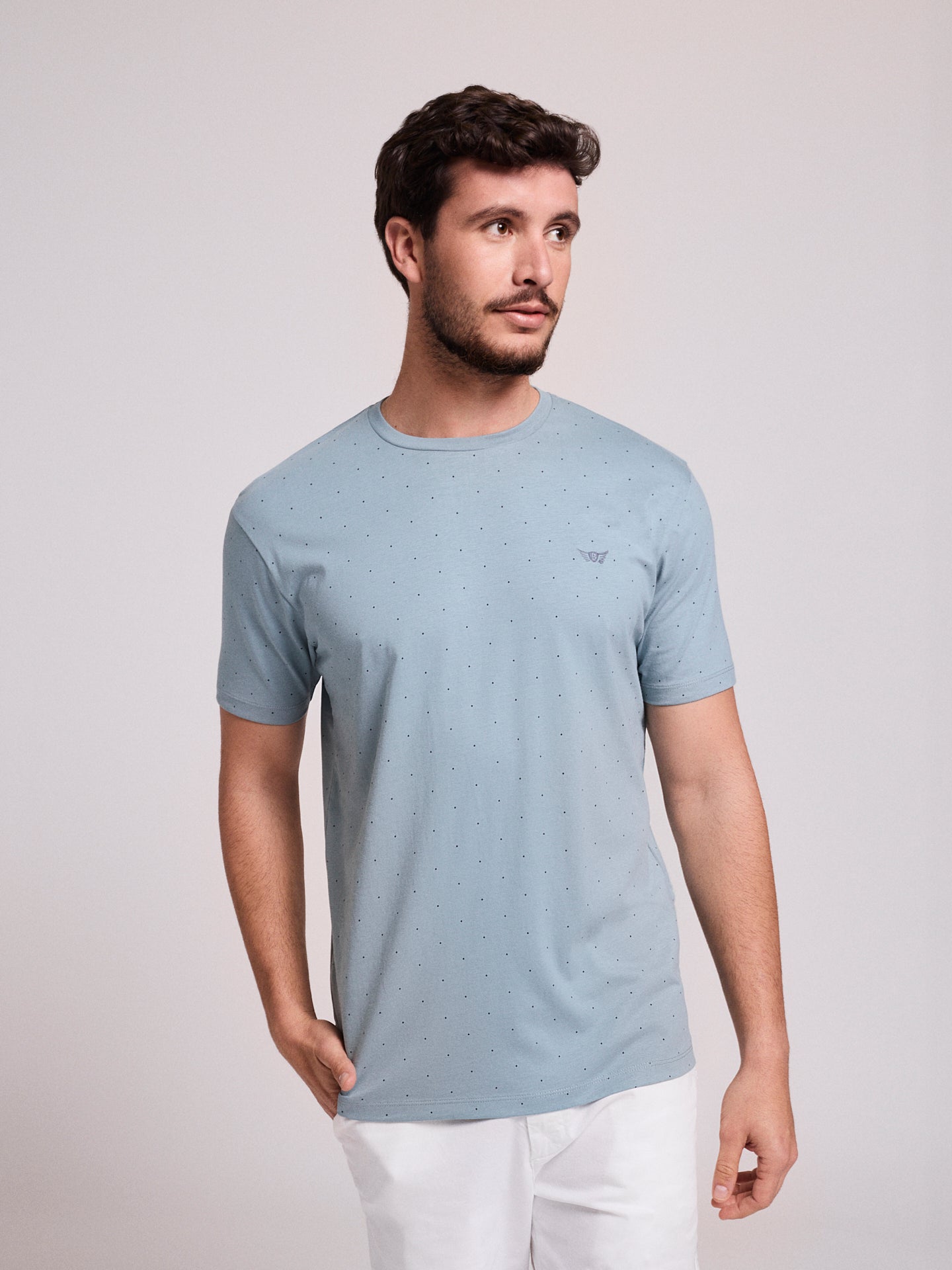 BLUE COTTON T-SHIRT SHORT SLEEVE REGULAR FIT MR. BLUE