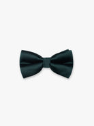 GREEN TIES MR. BLUE