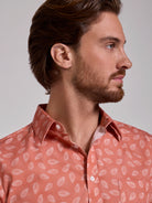 ORANGE COTTON SHIRT SHORT SLEEVE REGULAR FIT MR. BLUE