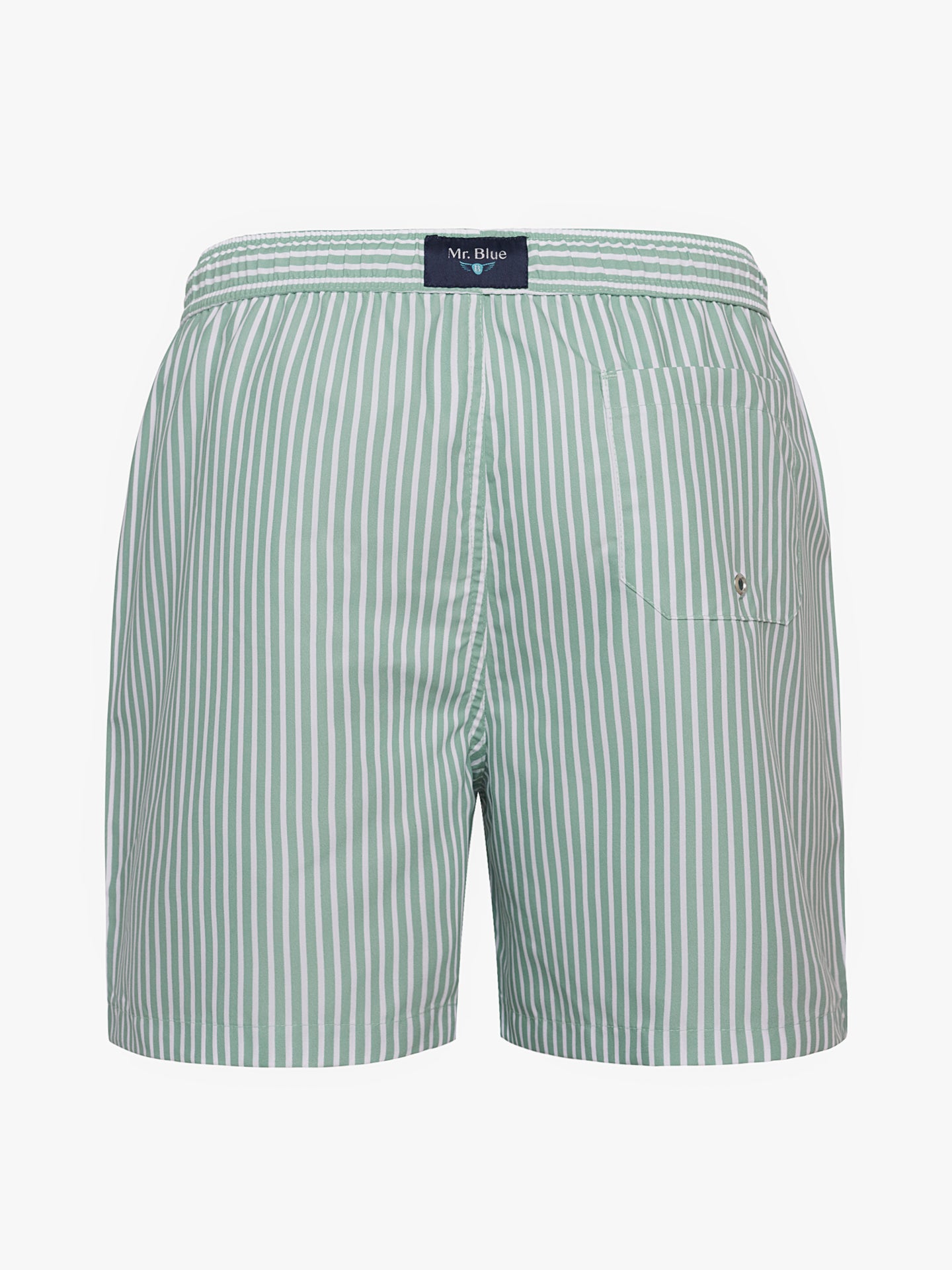 Mr. Blue Classic Green Swimsuit