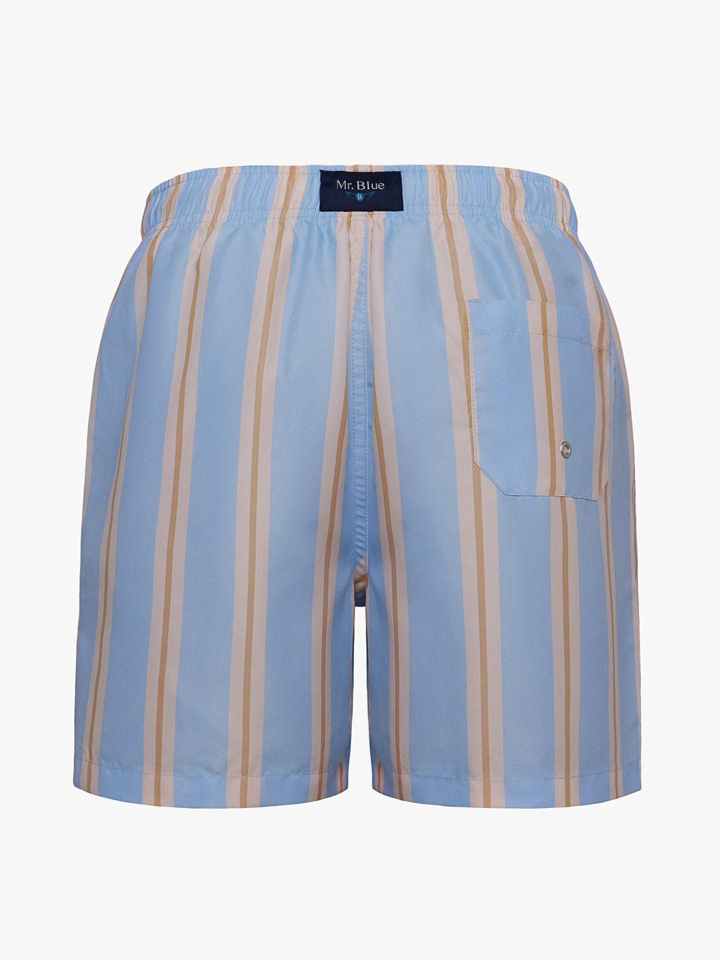 Mr. Blue Classic Swimsuit