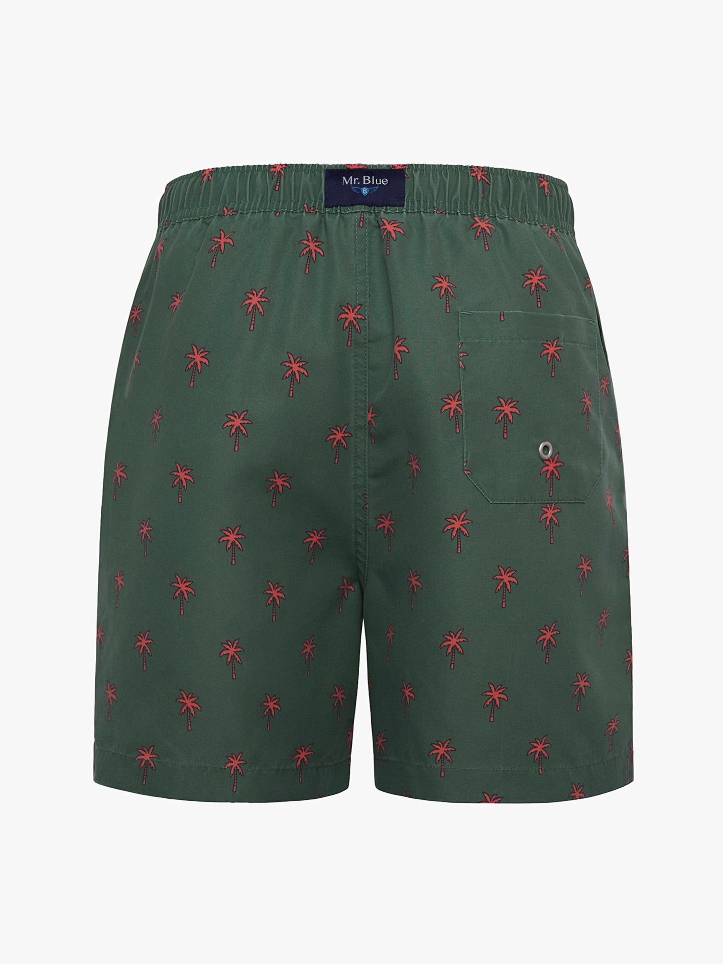 Mr. Blue Classic Green Swimsuit