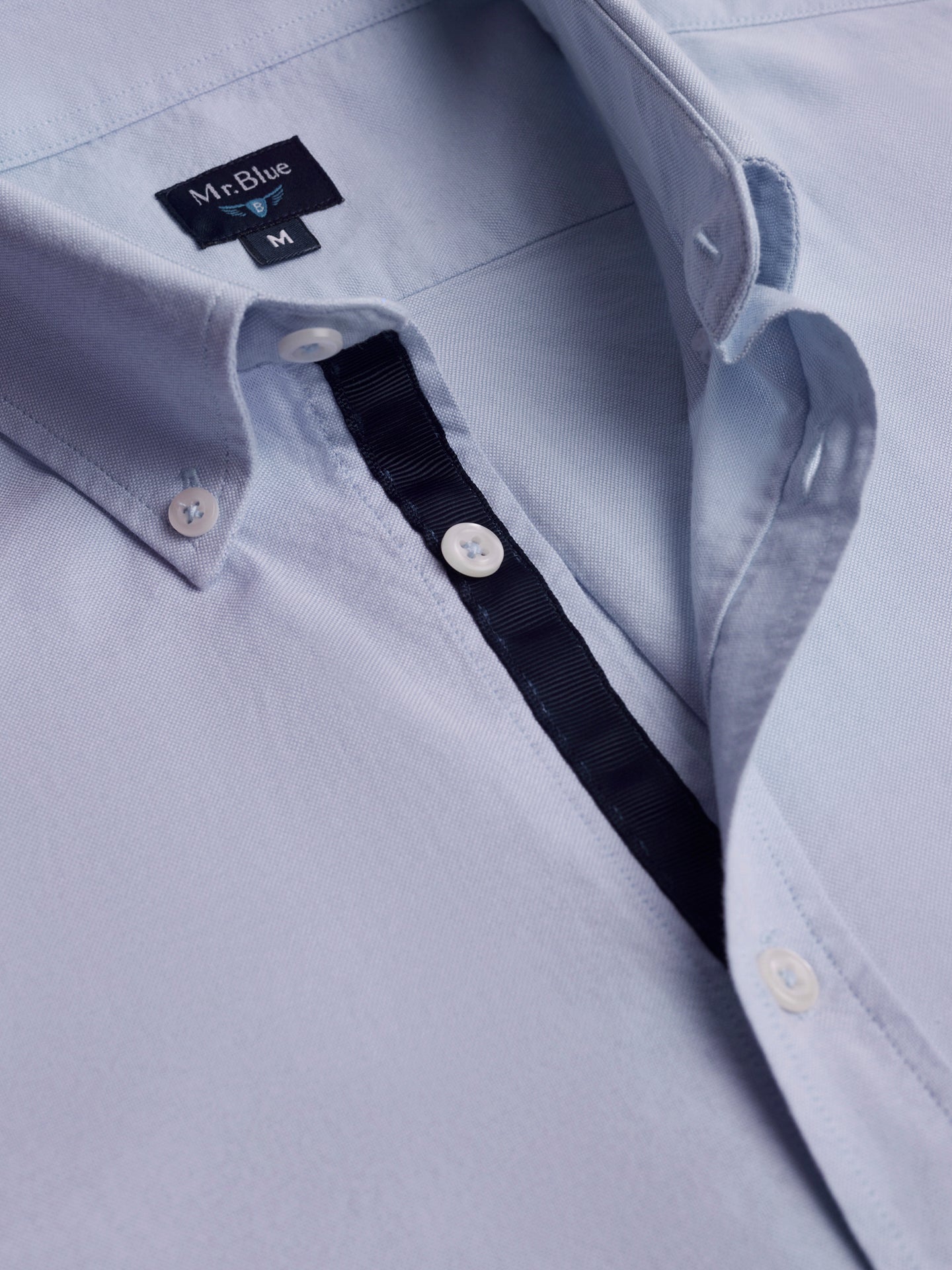 Mr. Blue Regular Fit Oxford Blue Shirt
