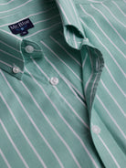 Regular Fit Oxford Green Mr. Blue Shirt